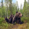 Bjrn_familieidyll_62A5606