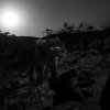 LWC_Will_Burrard_Lucas_-_Black_leopard_and_moon