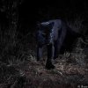 LWC_Will_Burrard_Lucas_